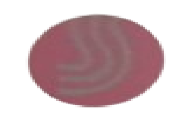 Sahara Typing and Studio